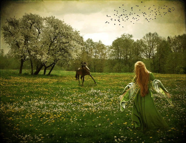 Обои картинки фото фэнтези, девушки, птицы, конь, луг, рыжеволосая