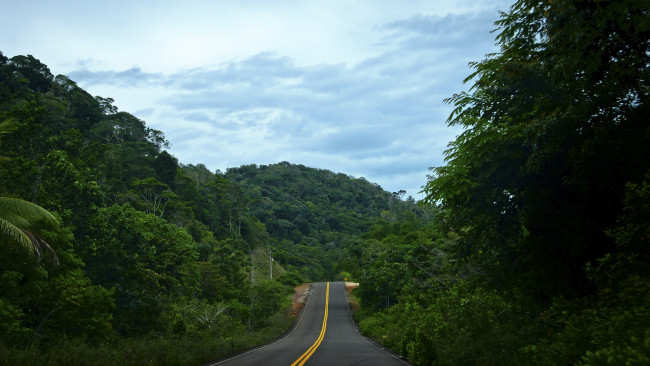 Обои картинки фото природа, дороги, лес