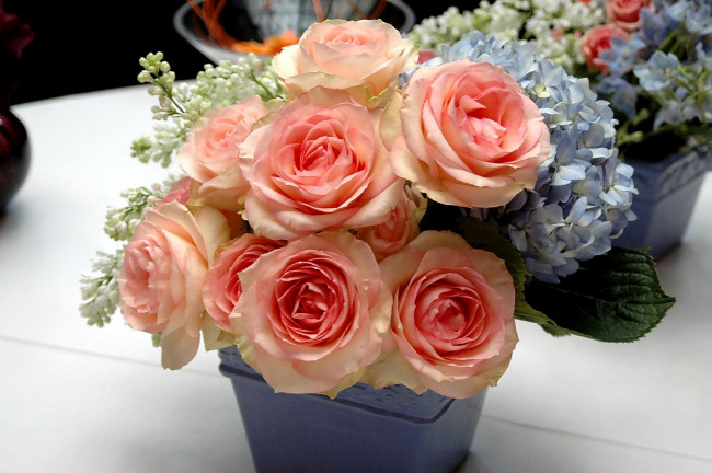 Обои картинки фото цветы, букеты, композиции, розы, гортензия, сирень