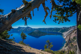 Картинка crater lake national park oregon природа реки озера деревья озеро крейтер орегон остров