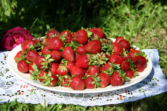 Картинка еда клубника земляника