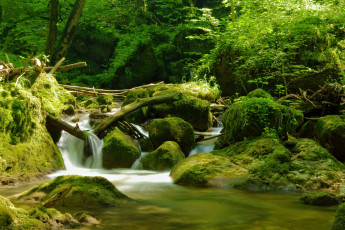 Картинка grellingen switzerland природа реки озера греллинген швейцария речка камни лес