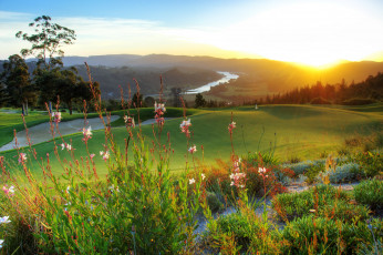 Картинка south africa природа восходы закаты трава пейзаж