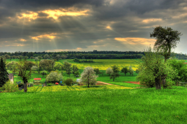 Обои картинки фото германия, гессен, хунген, природа, поля