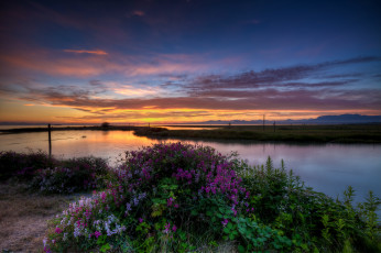 Картинка природа реки озера вечер заря луг река