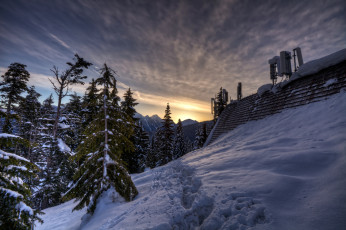 Картинка природа зима снег лес следы