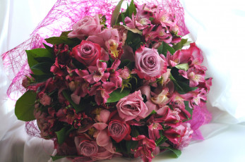 Картинка цветы букеты +композиции альстромерия роза орхидея