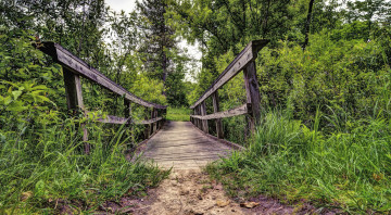 Картинка природа дороги лес тропинка мостик