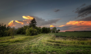 Картинка природа пейзажи зарево тучи трава поле лес