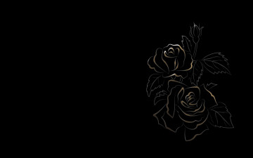 Картинка рисованные цветы черный фон