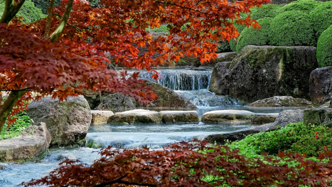 Обои картинки фото природа, водопады, вода, клен