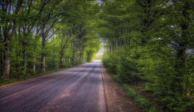 Обои картинки фото природа, дороги, лес, шоссе