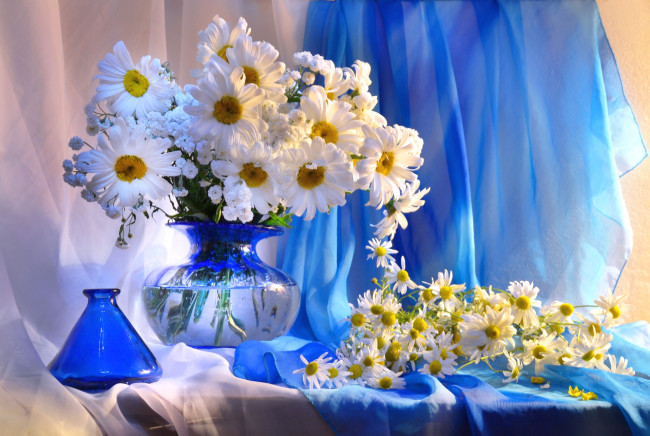 Обои картинки фото цветы, ромашки, букет