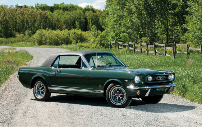 Обои картинки фото автомобили, mustang