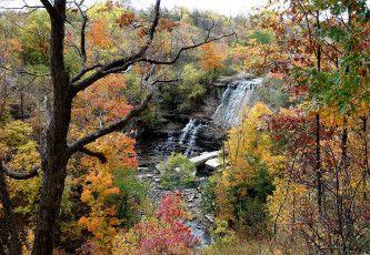 Картинка природа вода водопад река лес