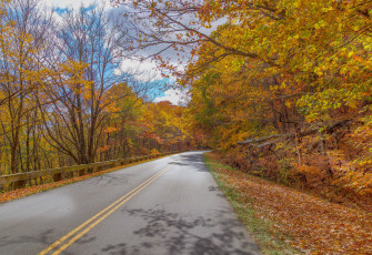 Картинка природа дороги шоссе