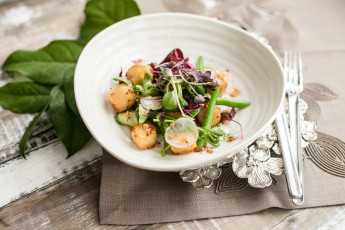 Картинка еда салаты +закуски зелень салат редис