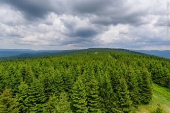 Картинка природа пейзажи простор