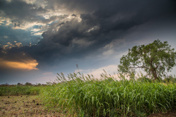 Картинка природа пейзажи простор