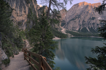 Картинка природа реки озера река лес