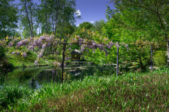 Картинка природа реки озера река лес