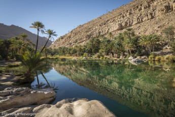 Картинка природа реки озера река лес