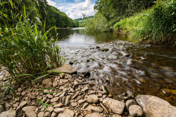 Картинка природа реки озера река лес