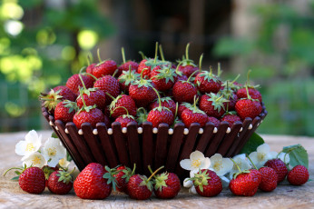 Картинка еда клубника +земляника жасмин ягоды