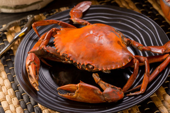 Картинка еда рыба +морепродукты +суши +роллы китайская кухня