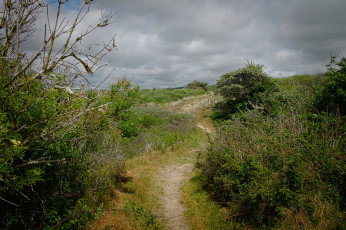 Картинка природа дороги тракт