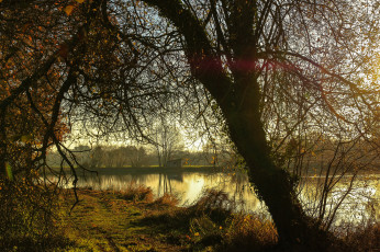 Картинка природа реки озера река лес