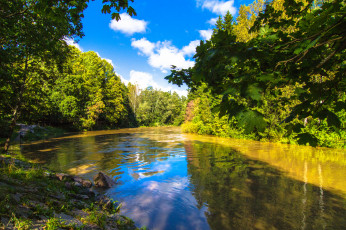 Картинка природа реки озера река лес