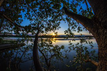 Картинка природа реки озера река лес