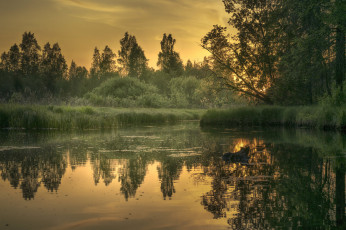 Картинка природа реки озера река лес