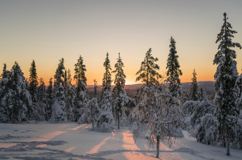 Картинка природа зима рассвет