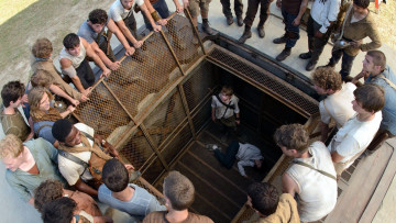 Картинка кино+фильмы the+maze+runner the maze runner