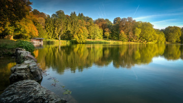 Картинка природа реки озера лес река