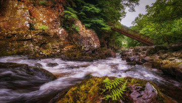 Картинка природа реки озера река лес