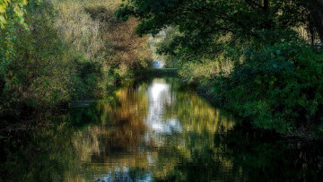 Картинка природа реки озера река лес