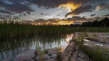 Картинка природа реки озера река лес