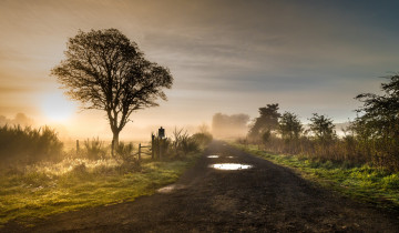 Картинка природа дороги тракт