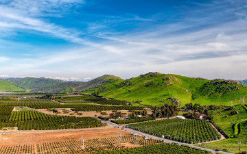 Картинка природа поля небо лэп панорама горы плантации