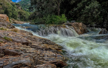 Картинка природа реки озера река лес