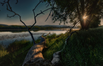 Картинка природа реки озера лес река