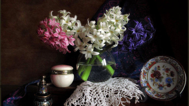 Обои картинки фото цветы, гиацинты, композиция, белый, синий, розовый