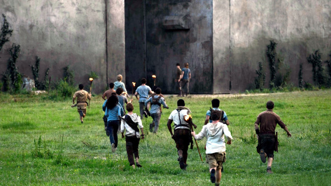 Обои картинки фото кино фильмы, the maze runner, the, maze, runner