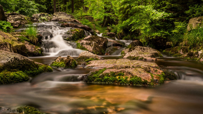 Обои картинки фото природа, реки, озера, река, лес