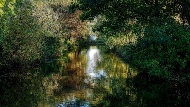 Обои картинки фото природа, реки, озера, река, лес