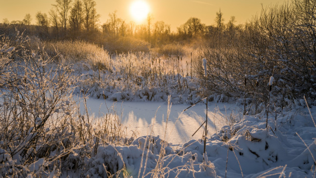 Обои картинки фото природа, зима, рассвет