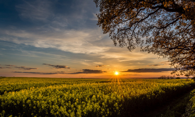 Обои картинки фото природа, восходы, закаты, рассвет